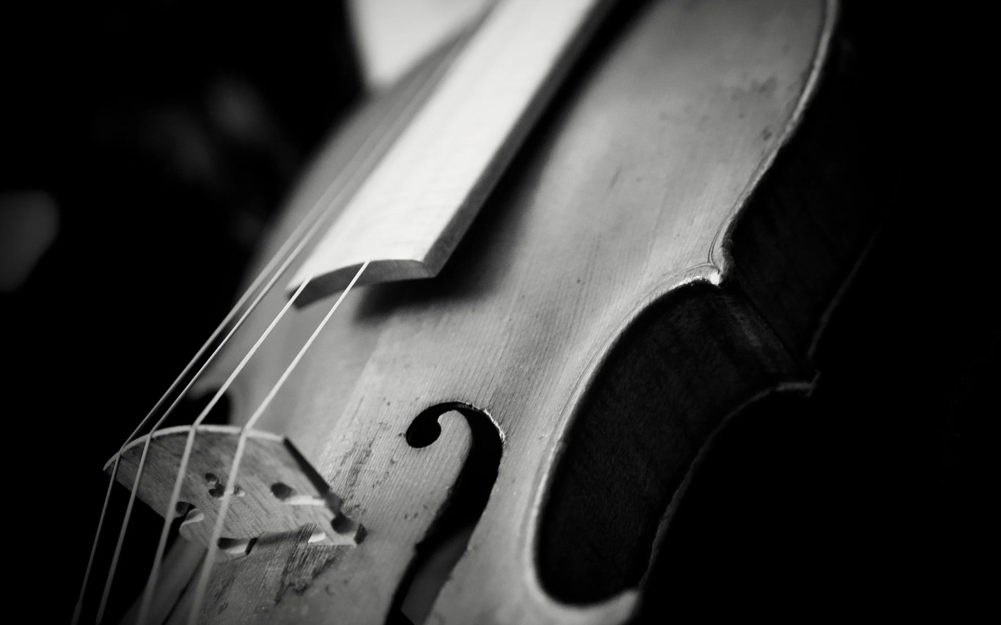 Flutist performer portrait